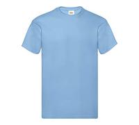 Fruit of the Loom Mens Screen Stars Original Full Cut Short Sleeve T-Shirt (2XL) (Sky Blue)