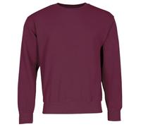 Fruit of the Loom Men's Set-In Classic Sweater, Burgundy, X-Large