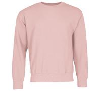 Fruit of The Loom Men's Ss027m Sweatshirt (Pack of 1), Powder rose, L