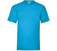 Fruit of the Loom Men's Valueweight Short Sleeve T-Shirt, Azure, Medium