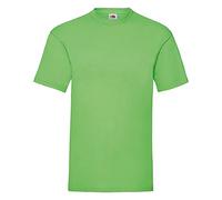 Fruit of the Loom Mens Valueweight Short Sleeve T-Shirt (M) (Lime)