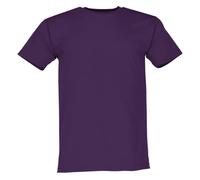 (L, Purple) Fruit Of The Loom Mens Original T-Shirt