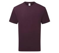 Fruit of the Loom Unisex Adult Cotton T-Shirt (Dark Plum) - Purple - Size 2XL