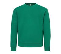 Fruit of the Loom Unisex Adult Supercotton Sweatshirt (College Green) - Dark Green - Size 3XL