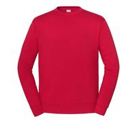 Fruit of the Loom Unisex Adult Sweatshirt (Red) - Size X-Large