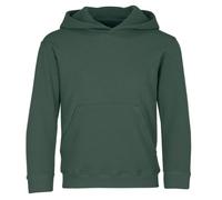 FRUIT OF THE LOOM Unisex Baby Pull-over Classic Hooded Sweat, Bottle Green, 14-15 Years UK