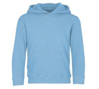 FRUIT OF THE LOOM Unisex Baby Pull-over Classic Hooded Sweat, Sky, 14-15 Years UK