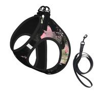 Fruit of The Spirit Pink Floral No Pull Dog Harness and Leash Set, Cute Reflective Adjustable Vest for Small Dogs,Breathable Mesh Puppy Harness for Walking Hiking,Large