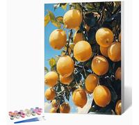 Fruit Paint by Numbers for Adults Plant Paint by Numbers Kits, Hobbies for Adults Women, DIY Acrylic Pigment Color Oil Drawing Kits Wall Art for Living Room Decor 16x20 inch (Without Frame) -LKF0740PT