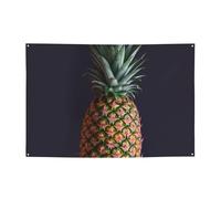 Fruit Pineapple Banner Party Decor Flag Photography Backdrop Banner Signs with Hanging Ropes Background Banners for Wall Signs Party Decor Flag Photo Props 71 x 47 Inch
