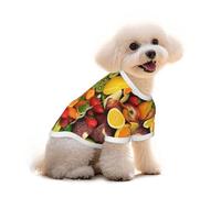 Fruit Rainbow Printed Everyday Soft Cotton Dog Short Sleeve T-Shirt For Chihuahuas & Teacup Puppies & Small Dogs Breeds Stretchy Cat Outfit