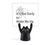 Fruit Render Sober Morning Memo Holder Cartoon Black Cat Stand Decoration
