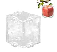 Fruit Shape Mold Set - Transparent Growth Forming Containers, Triangle Cubic Plant Training Boxes, Structuring Frame for Decorative Vegetable Products | Garden Growing Tools for Watermelon