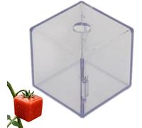 Fruit Shaped Tomato Mould Transparent and Cube Shape