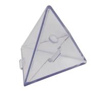 Fruit Shaper For Growing Triangular And Cubic Clear Tree