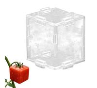 Fruit Shaping Mold for Growing - Triangular and Cubic Clear Mould | Fruit Vegetable Growing Molds,for Cucumber Tomato Strawberry Pumpkin Garden Plant Growth