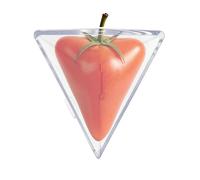 Fruit Shaping Mold For Growing Unique | Reusable Fruit Vegetable Growing Moulds Triangle Cube Shape For Tomato Strawberry Pear Food Grade Plant Shaping Gardening Tool