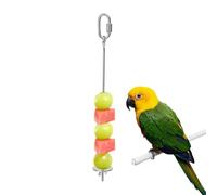 Fruit Skewer for Birds - Stainless Steel Fruit Holder Stick, Vegetable Skewer for Parakeets for Cage Food Finding | Macaw Suitable Cockatiel Parakeet Parakeet Parakeet Finch