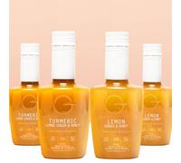 Fruit Tea Infusion 4 Pack - Lemon Ginger Honey (x2) & Turmeric lemon Ginger Honey (x2) (4x250mL)