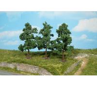 Fruit Trees 8-12cm (4)