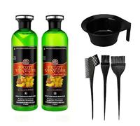 Fruit Vinegar Black Gel Hair Color Kit | Natural Hair Dye with Mixing Bowl & Brush | Ammonia-Free, Long-Lasting & Gentle Hair Coloring for Men & Women