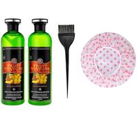 Fruit Vinegar Black Gel Hair Color | Professional Hair Dye with Shaver Cap & Brush | Ammonia-Free, Long-Lasting & Natural Black Hair Coloring for Men & Women (500ml x 2)