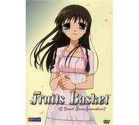 Fruits Basket 1: A Great Transformation [DVD] [Region 1] [US Import] [NTSC]