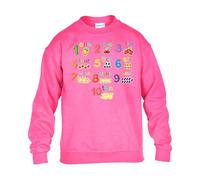 Fruits Boys Sweatshirt Math Numbers World Book Day Kids Girls UnisexSchool Gift Christmas Jumper Safety Pink - Youth Medium (Age 7-8)