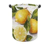 Fruits Lemon Laundry Basket with Handles, Laundry Hamper with Internal Support, Foldable Waterproof Clothes Hamper 44x35cm for Bedroom, Bathroom, Laundry Room, Living Room