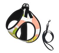 Fruits Lemon Print Pet Leash Vest,Breathable Mesh Pet Harness, Reflective For Small Medium Dogs Safe Easy Walking