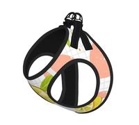 Fruits Lemon Print Pet Leash Vest,Breathable Mesh Pet Harness, Reflective For Small Medium Dogs Safe Easy Walking