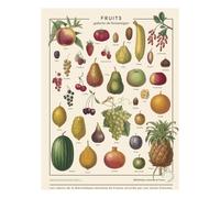 Fruits poster Multicoloured 60x80