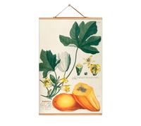 Fruits Poster NO 78 eicie SINGLE PIECES - 4052115043775