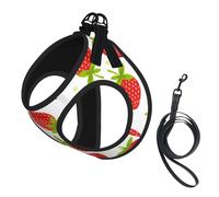 Fruits Strawberries Strawberry Pattern,Pet Harness,Adjustable Reflective Dog Harness,Pet Leash Vest,L