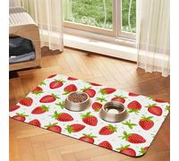 Fruits Strawberries Strawberry Pattern,Waterproof Pet Feeding Mat,PU Leather Placemats for Cat Dog Water Bowl,Food Mats,40x60cm