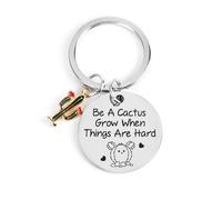 FRULX christmas gifts,Teacher Appreciation Gift,Stainless Steel Keychain with Cactus Pendant,Thank You Teacher Gifts,Inspirational Keyring,Personalised Thank You Gift,Good Luck Gift for Teachers