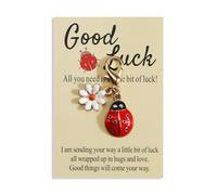 FRULX Ladybug and Daisy Cute Keyring, Unique Birthday Gifts for Women, Mum, Sister, Girlfriend, Friend, Inspirational Friendship and Couple Keyrings, Thank You Keychains, Gifts for Her and Him (Red)