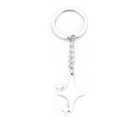 FRULX Stainless Steel Star Pendant Keychain,Cute Geometric Keyring for Women,Gift for Friends,Sisters,Mum and Colleagues,Christmas Presents for Girlfriend,Cute Accessories,Fun Gifts for Women