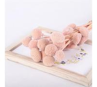 FRZXBKW 20Pcs Dried Craspedia Flowers Dried Button Balls Flowers, 20"(1.8-2.5CM) Dried Flower Bouquet for Arrangements Wedding Home Decor, Tall Vase Boho Decor