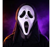 FS-PINGXIANG Scary Ghost Mask, Scream Mask for Adults, Halloween White Face Killer EVA Full Head Mask