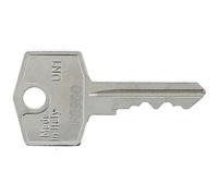 FS900 Replacement Plant Key- Reliable Spare
