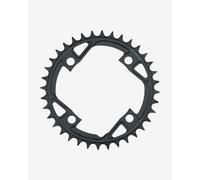 Fsa E-bike Mt Chainring Black 36t