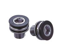 FSA Steel ISIS Crank Bolt - Black, Size M15