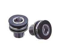 FSA Steel ISIS Crank Bolt - Black, Size M15