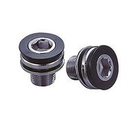 FSA Steel ISIS Crank Bolt - Black, Size M15