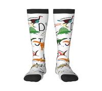 FSCEV Stylish Learning Alphabets With Dinosaurs Adult Stockings Sports Running Calf Socks Walking Travel Activities Daily Wear
