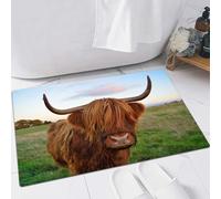 FSDGY Non-slip Barrier Mats Door Mat, Super Absorbent Entrance Rug Machine Washable Soft Floor Mat Carpet,Highland Cattle Cow Oil,24x35in
