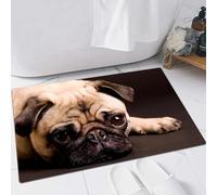 FSDGY Non-slip Barrier Mats Door Mat, Super Absorbent Entrance Rug Machine Washable Soft Floor Mat Carpet,cute Pug dog with a sad flat face,16x24in