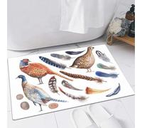 FSDGY Non-slip Barrier Mats Door Mat, Super Absorbent Entrance Rug Machine Washable Soft Floor Mat Carpet,Pheasant partridge bird feathers watercolor hand drawn illustration. Print textile vi,24x35in