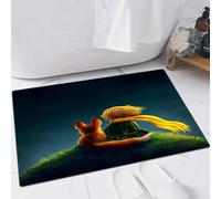 FSDGY Non-slip Barrier Mats Door Mat, Super Absorbent Entrance Rug Machine Washable Soft Floor Mat Carpet,The little prince and the fox look up at the sky,16x24in